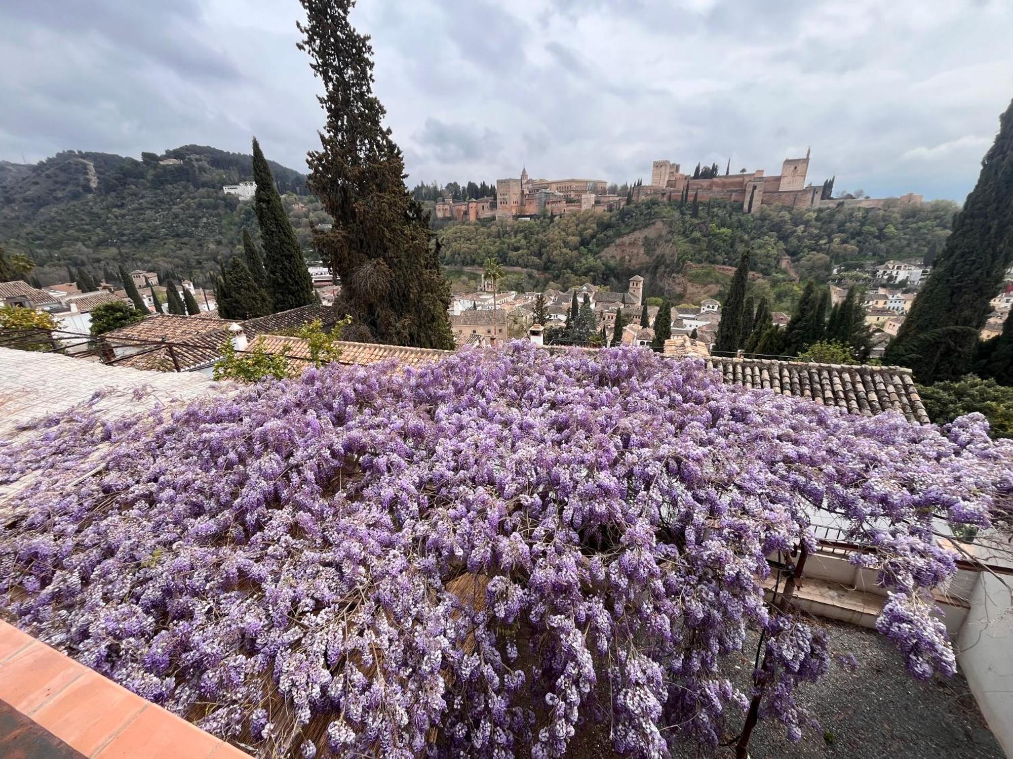 مبيت وإفطار غرناطة La Casa Juan Ranas المظهر الخارجي الصورة
